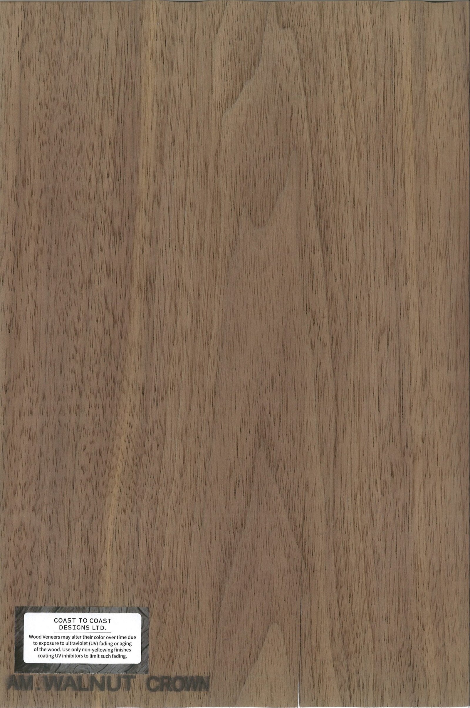 AM Walnut Crown