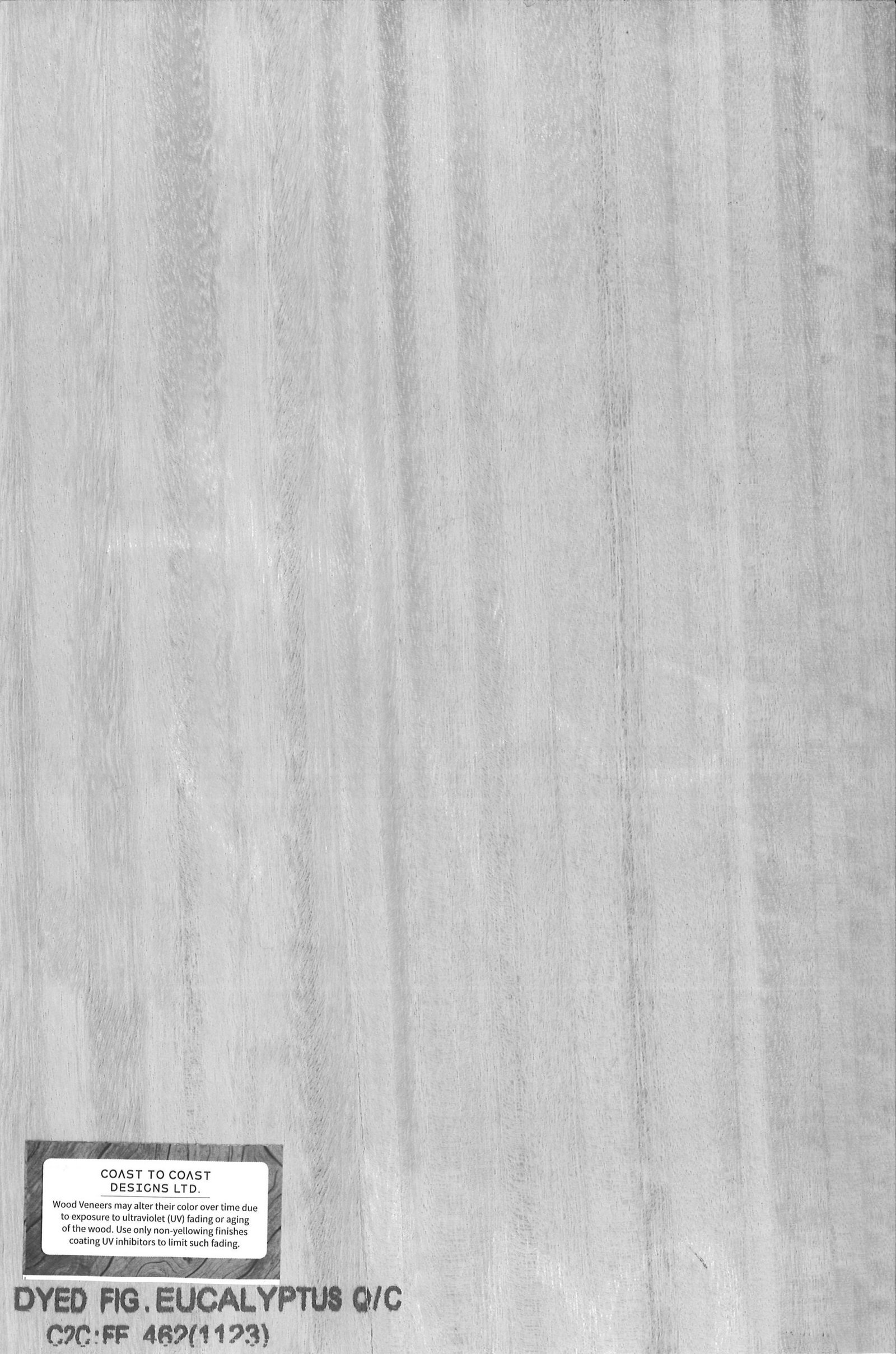 Dyed Figured Eucalyptus QC | FE 462(1123)