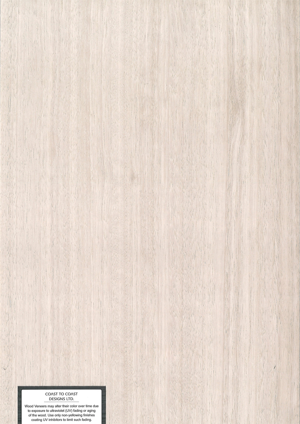 Eucalyptus QC | PE 1583