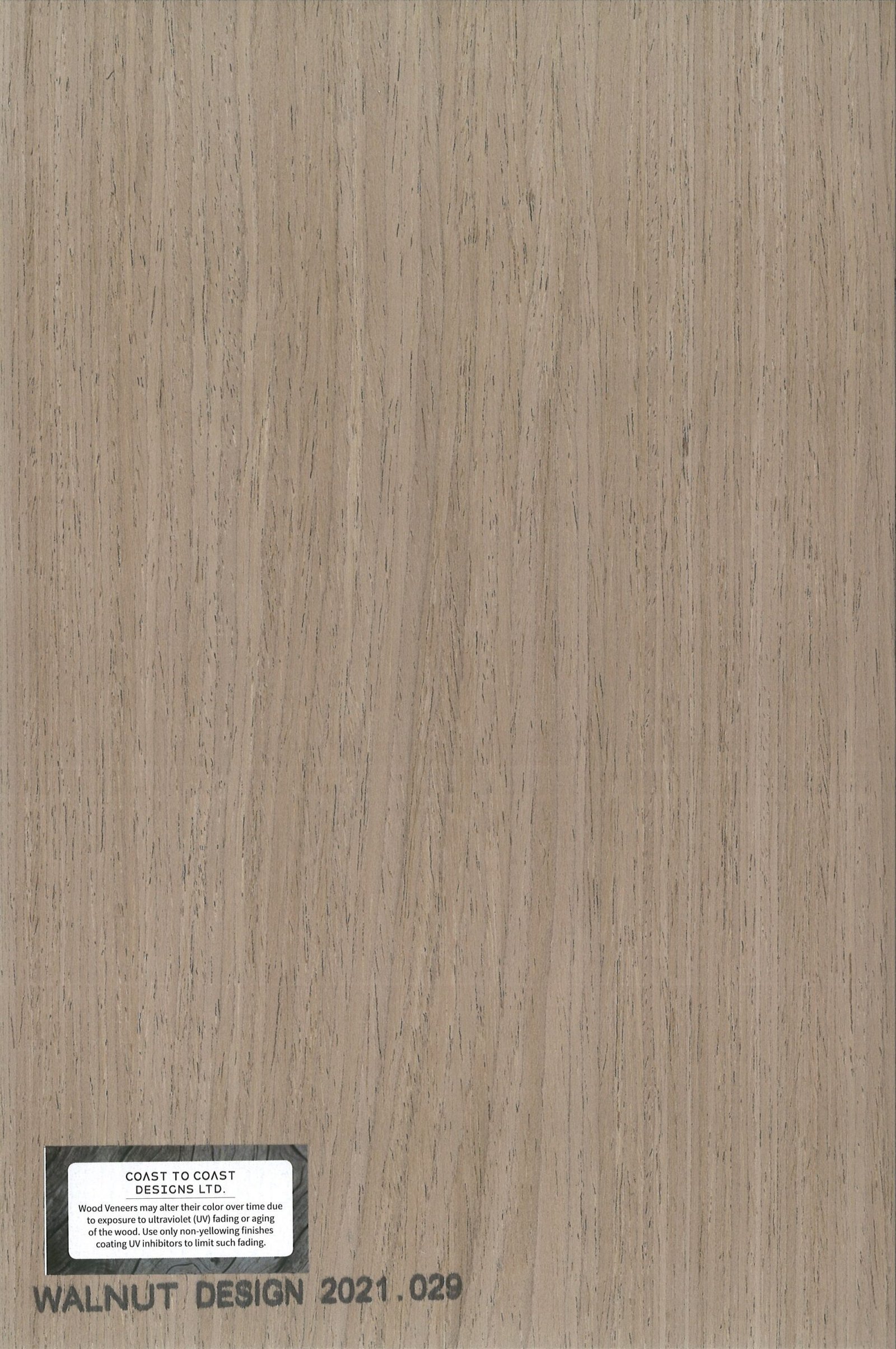 Walnut Design 2021.029