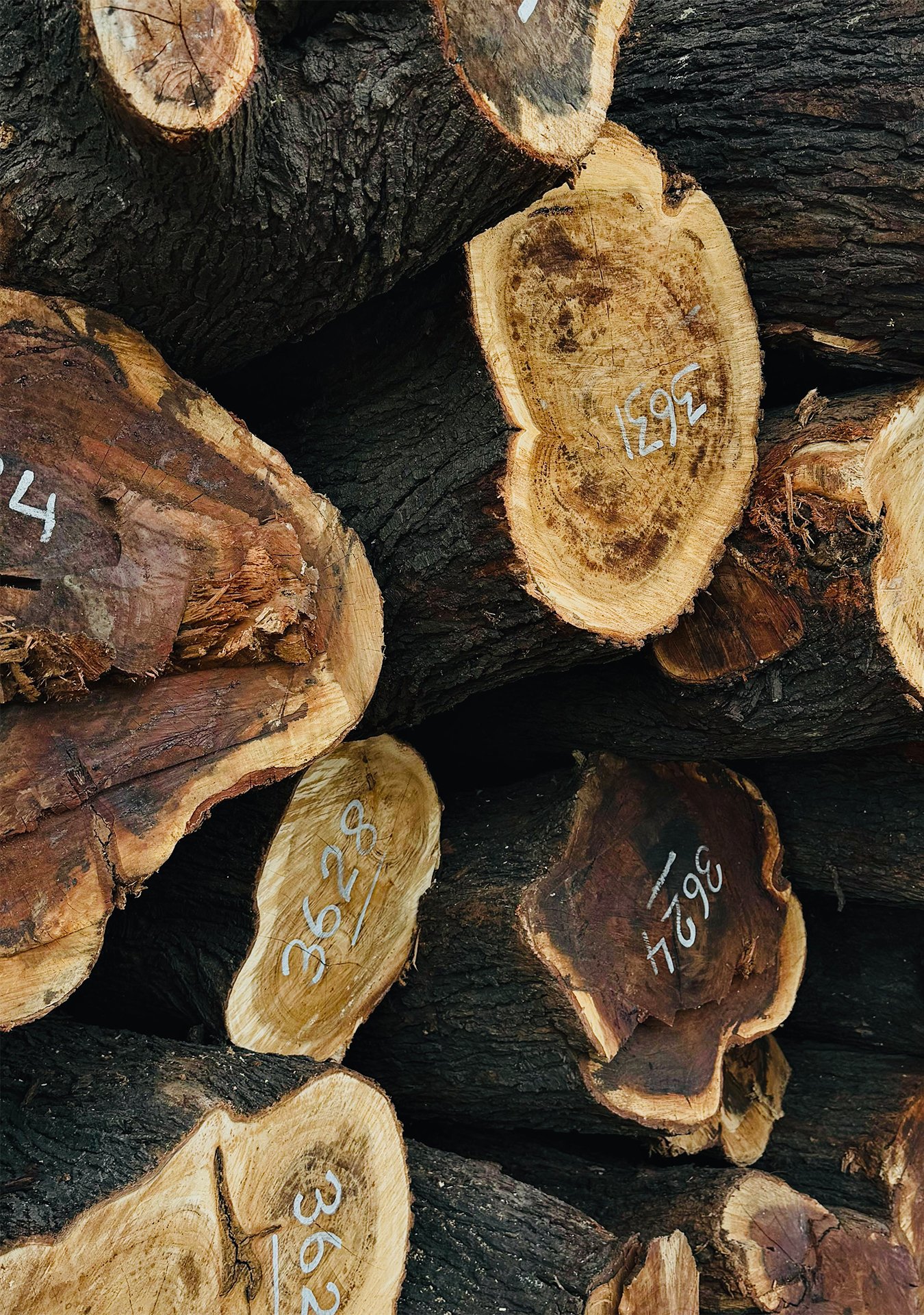 Sourced Logs Stack