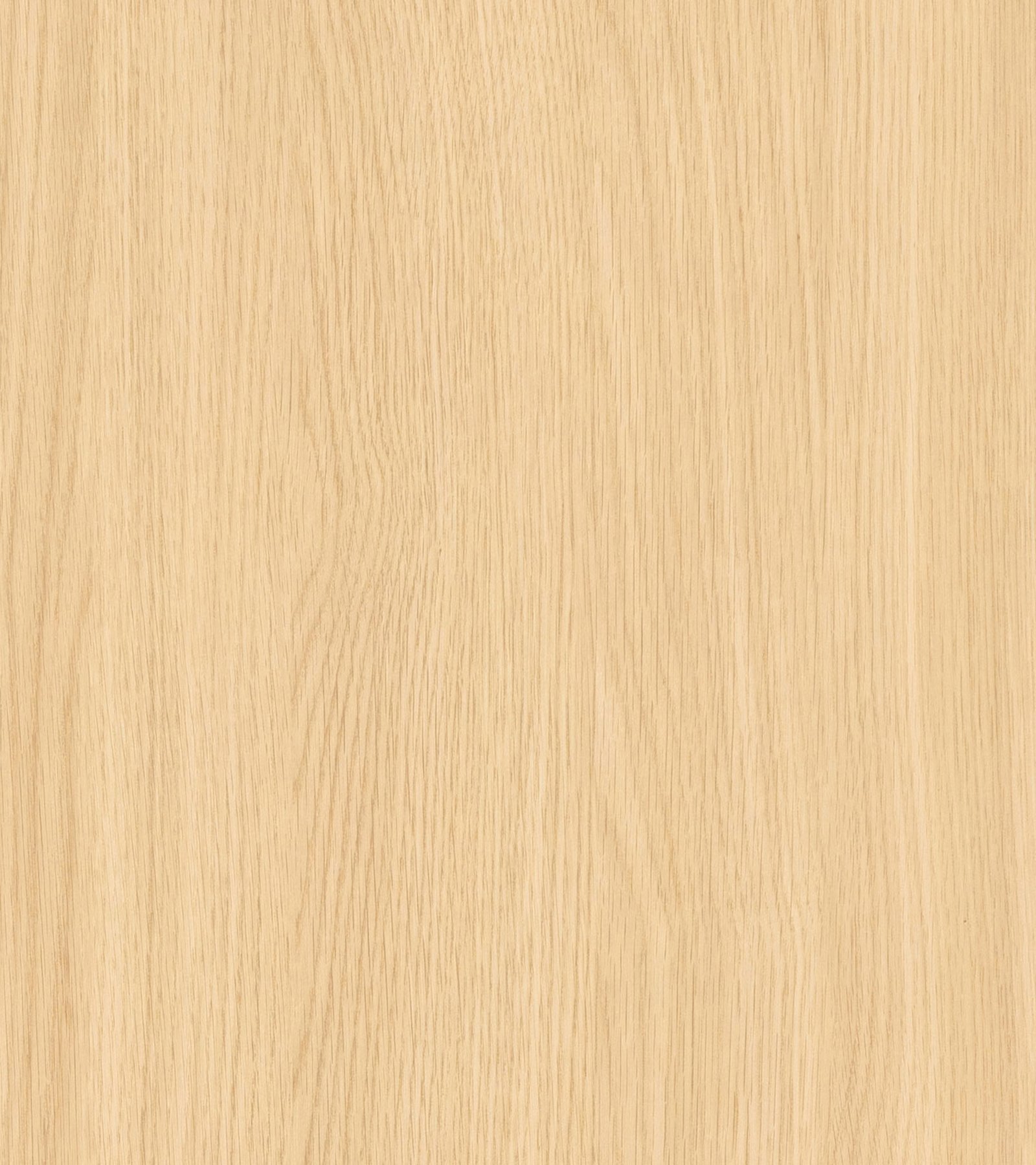 1339 Oak Narciso