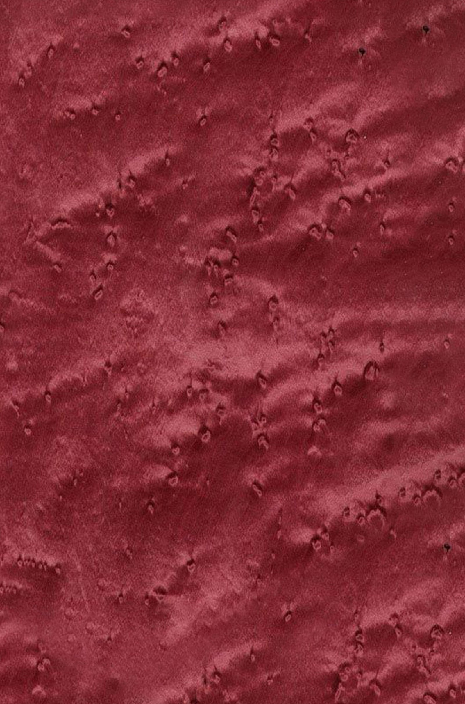 Bird Eye Maple | 1743